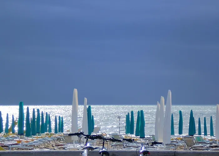 Hotel Erica Lignano 4*